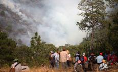 Padecen bosques de Oaxaca por incendios en zonas de conflicto y fuego provocado
