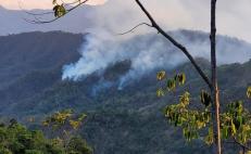 Fuerte incendio intermunicipal consume bosques de Pochutla y Huatulco, en la Costa de Oaxaca