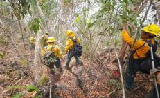 Muere en Oaxaca poblador que combatía incendio que consume bosques de Pochutla y Huatulco