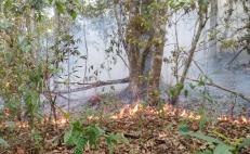 Atienden brigadistas cuatro incendios en Los Chimalapas, Oaxaca