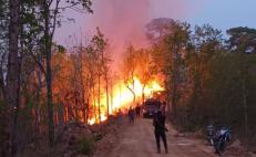 Incendio en Los Chimalapas amenaza selva virgen en Oaxaca; helicóptero presentó “fallas técnicas” y ya no voló