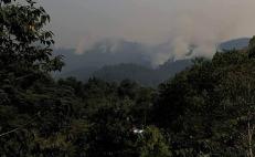 Comunidades mazatecas de Oaxaca suplican auxilio ante incendio forestal sin control; amenaza viviendas 