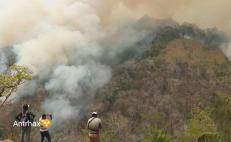 Consumen 6 incendios Los Chimalapas, en Oaxaca; devoran zona de niebla, nunca antes alcanzada por el fuego