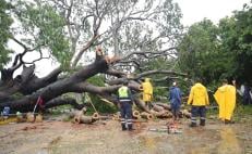 Inundaciones y crecida de ríos vuelven a golpear al Istmo tras fuertes lluvias en Oaxaca