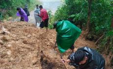 Solicitan Declaratoria de Desastre Natural para 65 municipios de Oaxaca por daños tras paso de John.