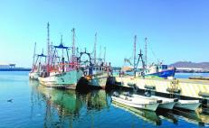 Pescadores de alta mar en Oaxaca se lanzan a la captura de camarón; sector agoniza, aseguran