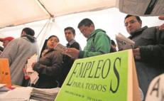 Oaxaca perdió 133 mil empleos en 2024; la mayor disminución fue en el sector primario