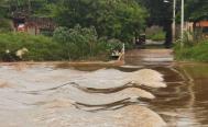 Inundaciones dejan da&ntilde;os en viviendas, cultivos, caminos y puentes de 17 municipios de Oaxaca