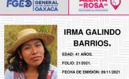 Lanzan Alerta Rosa para localizar a Irma Galindo, defensora del bosque en Atatlahuca, Oaxaca