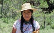Emite ONU acciones urgentes a favor de 5 personas de Atatlahuca, Oaxaca, desaparecidas