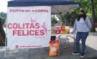 As&iacute; puedes ayudar a los animales afectados por el hurac&aacute;n Agatha en Oaxaca