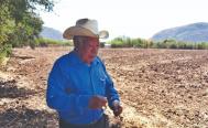 Luz incosteable para riego por ley el&eacute;ctrica agudiza abandono del campo en comunidades del Valle Oaxaca