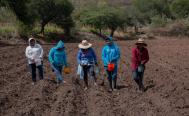 Ante inflaci&oacute;n, disparo en precio de fertilizantes y falta de apoyos, muere campo de la Mixteca de Oaxaca