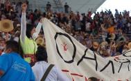 Feministas condenan expulsi&oacute;n de Elena R&iacute;os de la Guelaguetza: exigen justicia al gobierno de Oaxaca