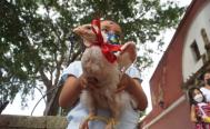 FOTOS: Perritos, gatitos y hasta chivos y gallinas reciben su bendición en Oaxaca