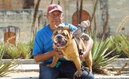 Baloo, un bulldog con alma de terapeuta que ayuda a lomitos rescatados de situaci&oacute;n de calle