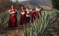Oaxaca celebrar&aacute; el 11 de abril como el D&iacute;a de la Maestra y el Maestro Mezcalero