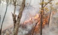 Incendio consume 2 mil hect&aacute;reas de bosques de la Mixteca de Oaxaca, tras 6 d&iacute;as de actividad