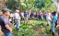 Incendio en Los Chimalapas consume plantaciones del programa Sembrando Vida en Oaxaca