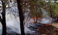 Oaxaca es el quinto estado m&aacute;s afectado por incendios forestales, reporta la Coesfo