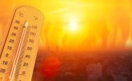 Ola de calor en M&eacute;xico: Oaxaca y 21 estados m&aacute;s tendr&aacute;n temperaturas de hasta 45 grados