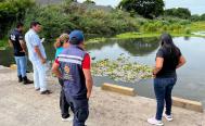 Indagan en Oaxaca muerte de miles de peces en r&iacute;o Las Nutrias, donde Juchit&aacute;n vierte aguas negras