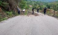 Reportan ca&iacute;da de &aacute;rboles y cortes de luz en la Costa de Oaxaca por la onda tropical 10