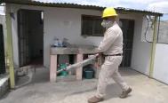 Alerta por dengue: 46 municipios de Oaxaca se encuentran en riesgo epidemiol&oacute;gico alto