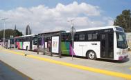 Anuncian regreso del Citybus en Oaxaca: dos rutas funcionar&aacute;n gratis por dos semanas