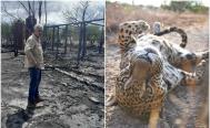 Previo a incendio, ignoraron peticiones de seguridad, denuncia director del &ldquo;santuario del jaguar&rdquo; en Oaxaca