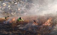Reportan nuevo incendio en Xoxo, en pol&iacute;gono de Zona Arqueol&oacute;gica de Monte Alb&aacute;n, en Oaxaca 