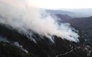 M&aacute;s de mil personas combaten incendio que ha devorado 100 hect&aacute;reas de bosque en Oaxaca