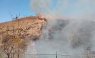 Liquidan en Oaxaca incendio en poligonal de Monte Alb&aacute;n y controlan el de San Miguel Peras