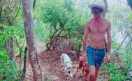 Tres perros propiedad de un extranjero atacan a ni&ntilde;o de 9 a&ntilde;os en la Costa de Oaxaca; fueron sacrificados