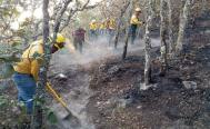&ldquo;Un incendio forestal es un monstruo&rdquo;: Mitla y otras comunidades de Oaxaca suman ayuda a Quiavin&iacute;
