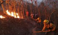 Por incendios forestales en Oaxaca, proh&iacute;ben en Putla de Guerrero tumba, roza y quema