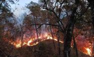 Alertan avance de incendio hacia viviendas de Asunci&oacute;n Mixtepec, en la Sierra Sur de Oaxaca