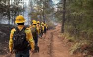 Se suma Sedena y Guardia Nacional a combate de incendio en Quiotepec, en la Sierra Norte de Oaxaca