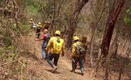 Reportan controlado al 100% incendio forestal entre Huatulco y San Miguel del Puerto, Oaxaca 