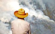 Recortes millonarios a Conafor por austeridad detonaron infierno en incendios forestales en Oaxaca