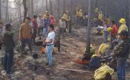 Incendios han arrasado 30 mil ha de selva de Los Chimalapas en Oaxaca; podr&iacute;an ser el doble, alertan