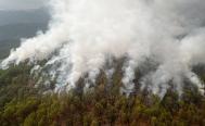 Emergencia en pueblos chontales de Oaxaca por incendios forestales; ayuda del gobierno es insuficiente