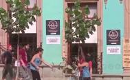 VIDEO. Investigan en Oaxaca a pareja extranjera que pod&oacute; &aacute;rbol para que no tapara letrero de pizzer&iacute;a