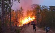Incendio en Los Chimalapas amenaza selva virgen en Oaxaca; helic&oacute;ptero present&oacute; &ldquo;fallas t&eacute;cnicas&rdquo; y ya no vol&oacute;