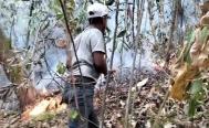 La selva en riesgo: Desde Oaxaca claman ayuda internacional para sofocar incendios en Los Chimalapas