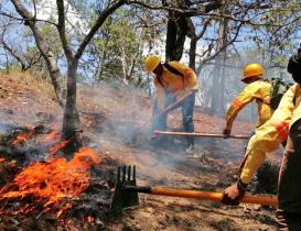 En lo que va del a&ntilde;o, se han registrado 134 incendios forestales en Oaxaca, seg&uacute;n datos de la Coesfo. 