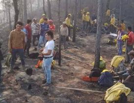 Incendios han arrasado 30 mil ha de selva de Los Chimalapas en Oaxaca; podr&iacute;an ser el doble, alertan