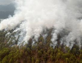 Emergencia en pueblos chontales de Oaxaca por incendios forestales; ayuda del gobierno es insuficiente