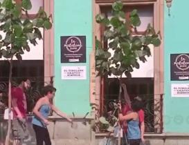 VIDEO. Investigan en Oaxaca a pareja extranjera que pod&oacute; &aacute;rbol para que no tapara letrero de pizzer&iacute;a