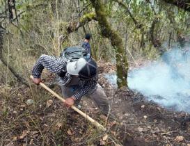 Incendios forestales asedian a Huay&aacute;pam; pobladores piden auxilio al gobierno de Oaxaca
